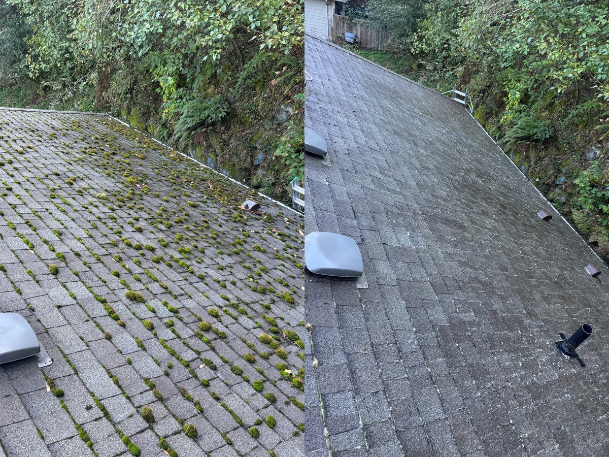 Roof Cleaning in the Fraser Valley by Bread&Butter Exteriors