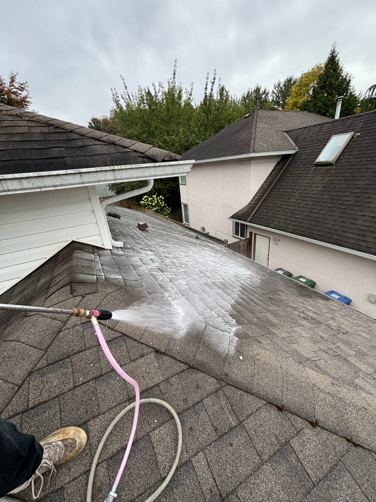 Roof Cleaning