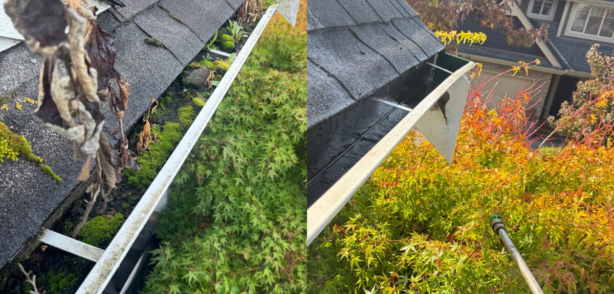 Gutter Cleaning